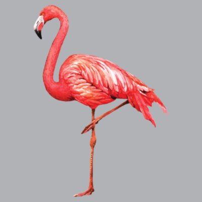 Flamingo: Women's Racerback Tank Top Design