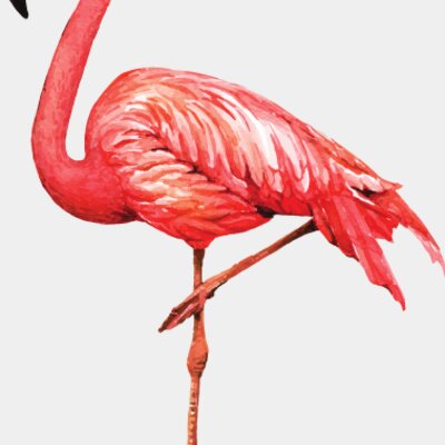 Pink Flamingo Thumbnail