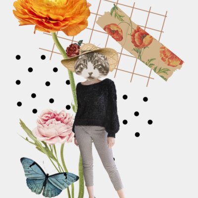 cat flower Thumbnail