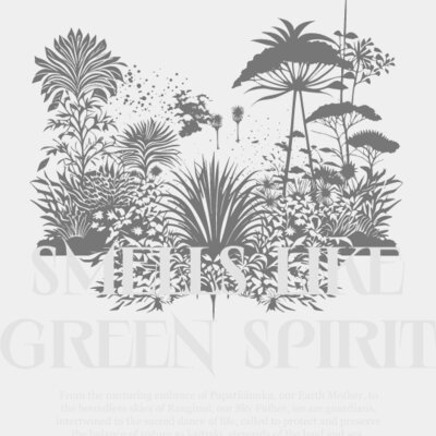 smells like green spirit2 Thumbnail